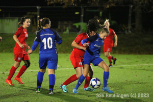 Dettingen_20231028-10230