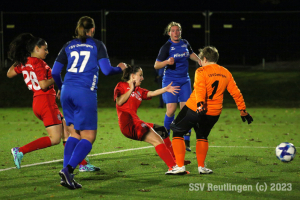 Dettingen_20231028-10231