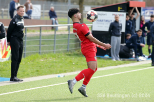 YBR_20240317-16229_16456