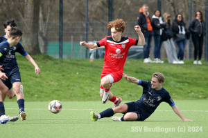 YBR_20240317-16229_16464