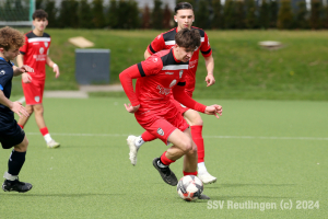 YBR_20240317-16229_16465