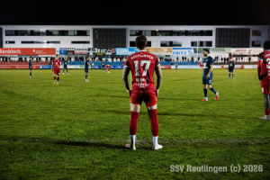 DSC_1146