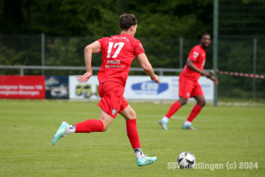 Bissingen_20240427-18130