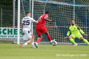 Bissingen_20240427-18137