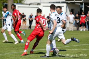 Bissingen_20240427-18236