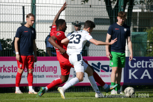 Bissingen_20240427-18294