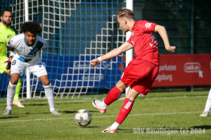 Bissingen_20240427-18378