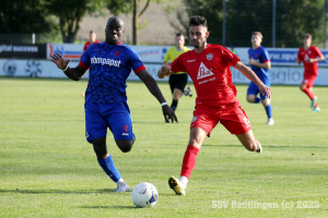Hollenbach_20230811-3583