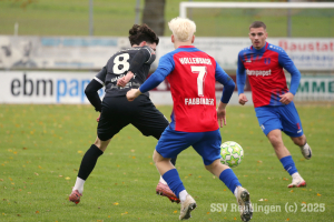 Hollenbach_20251025-8624