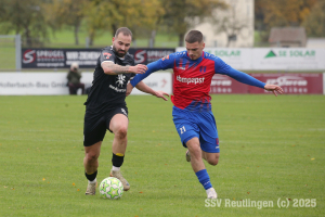 Hollenbach_20251025-8644