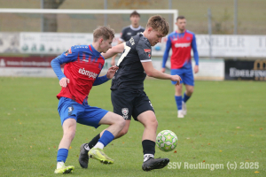 Hollenbach_20251025-8651