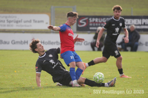 Hollenbach_20251025-8720