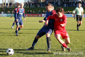 Hollenbach_20241130-7376