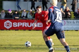 Hollenbach_20241130-7403