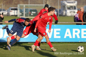 Hollenbach_20241130-7429