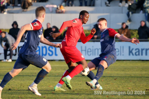 Hollenbach_20241130-7500