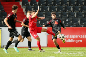 Aspach_20231021-9262