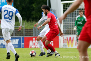 Mutschelbach_20240601-00216