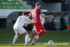 Villingen_20251122-9826