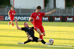 Holzhausen_20230818-4085