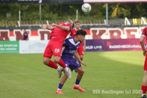 Noettingen_20250913-7119