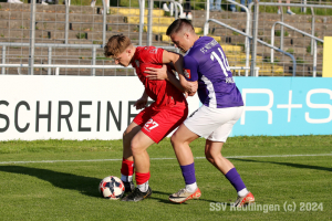 Noettingen_20240921-3847