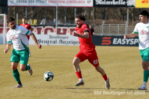 Zuzenhausen_20250308-8464