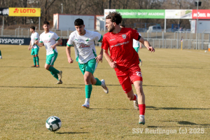 Zuzenhausen_20250308-8469