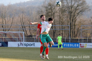 Zuzenhausen_20250308-8572