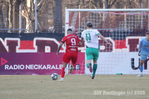 Zuzenhausen_20250308-8610