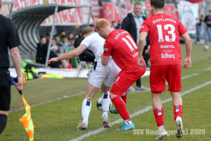 Bissingen_20250322-8972