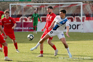 Bissingen_20250322-9173