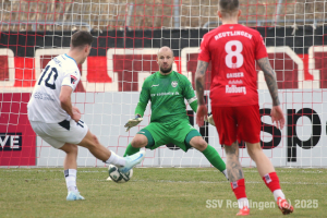 Bissingen_20250322-9182