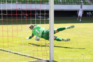 Hollenbach_20260509-12415