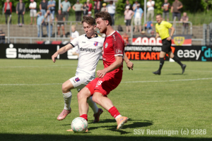 Hollenbach_20260509-12420