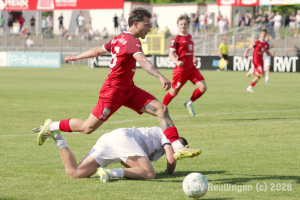 Hollenbach_20260509-12519