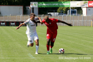 Hollenbach_20240810-0812
