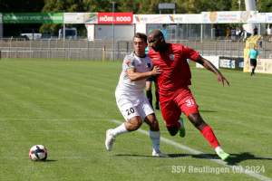 Hollenbach_20240810-0814