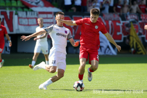 Hollenbach_20240810-0818