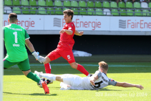 Hollenbach_20240810-0833
