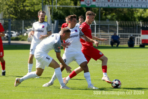 Hollenbach_20240810-0876