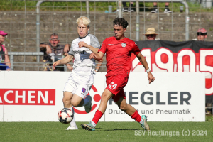 Hollenbach_20240810-0938