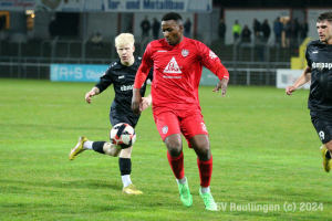 Hollenbach_20240313-15867