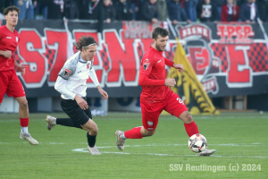 Fellbach_20241116-6705