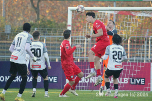 Fellbach_20241116-6812