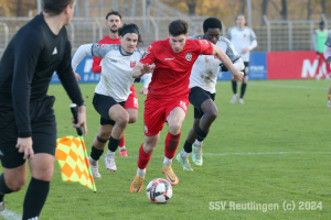 Fellbach_20241116-6848
