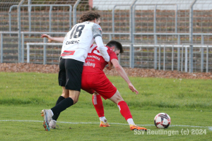 Fellbach_20241116-6946
