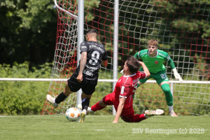 Fellbach_20250531-2997