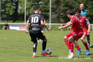 Fellbach_20250531-3109