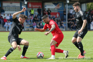 Essingen_20250419-1050